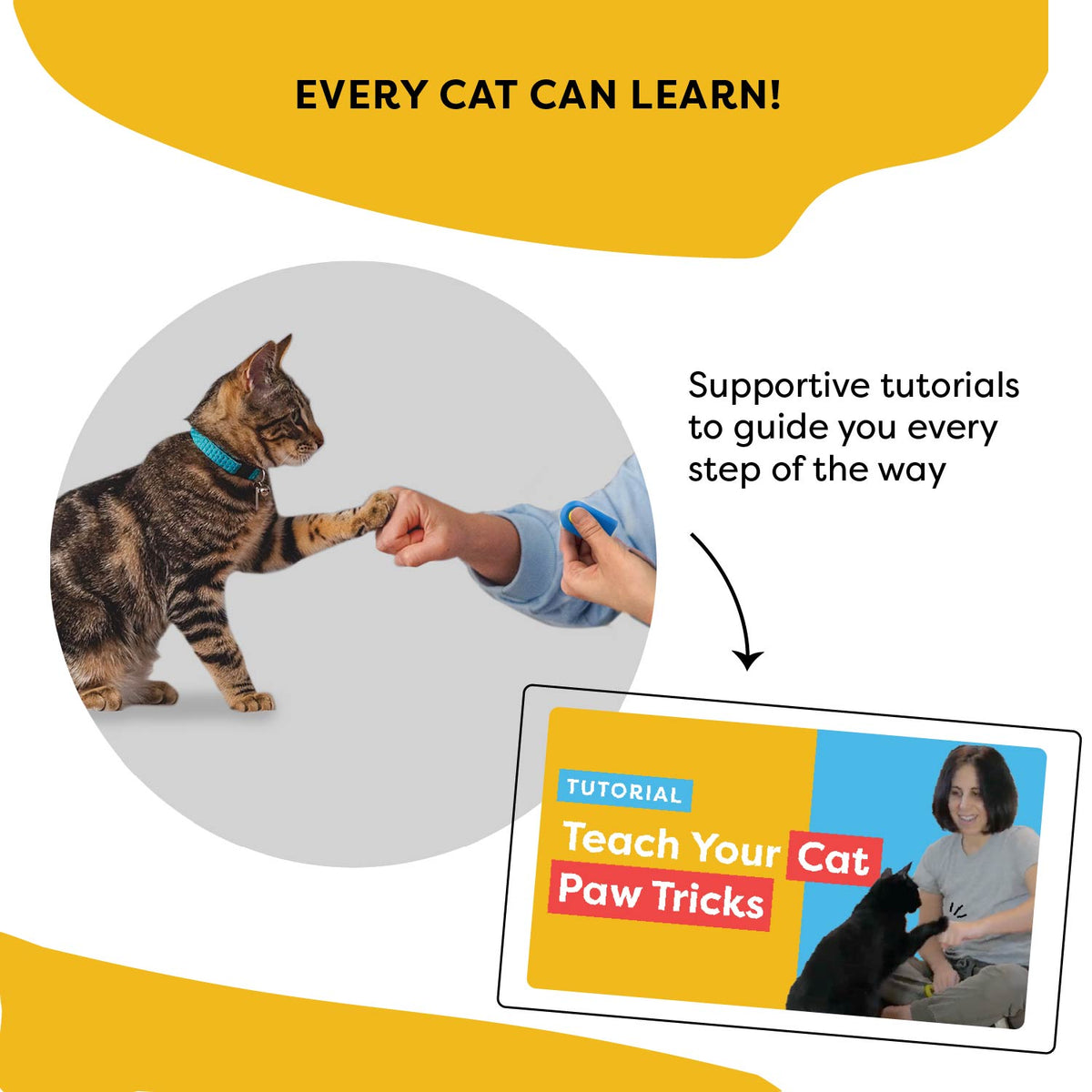 Cat School's Cat Clicker Training Tools