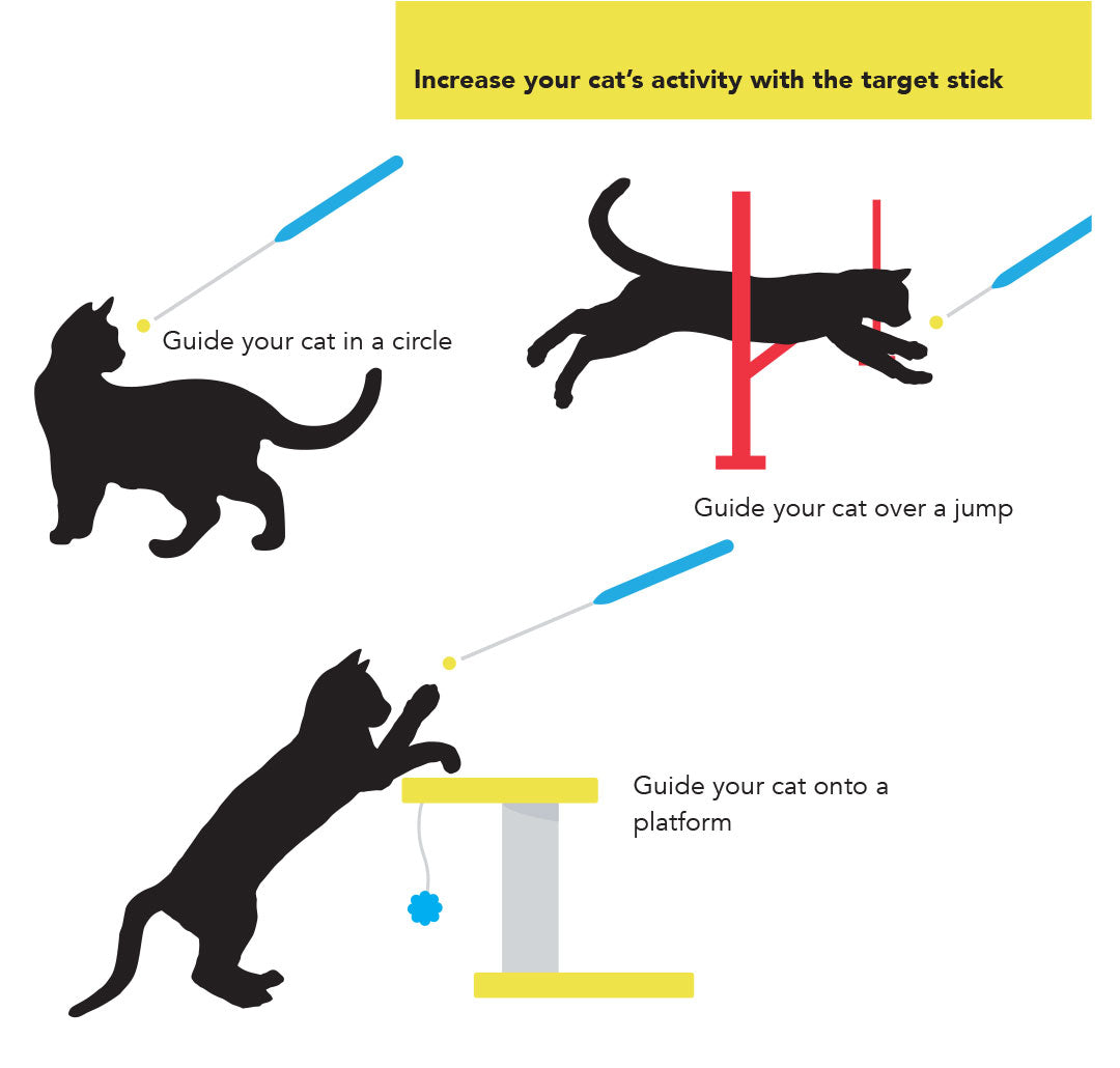 Cat School&#39;s Cat Clicker Training Tools